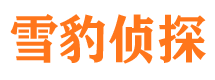 西峡市婚姻调查